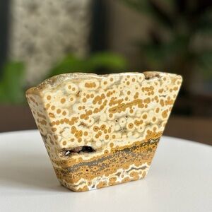 Ocean Jasper Crystal Freeform Slab (OBJ - Sea Jasper)